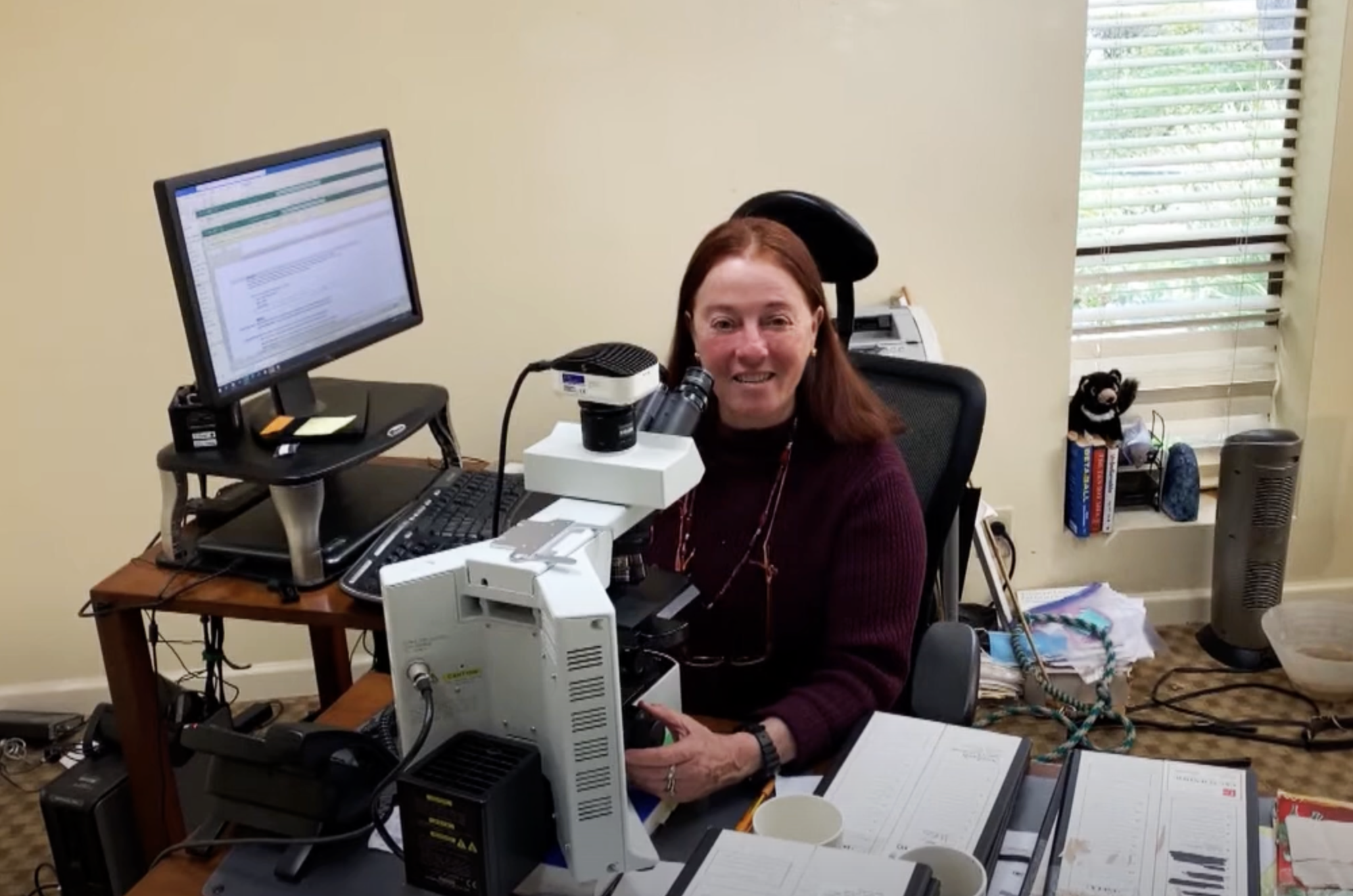 Carol Meschter working