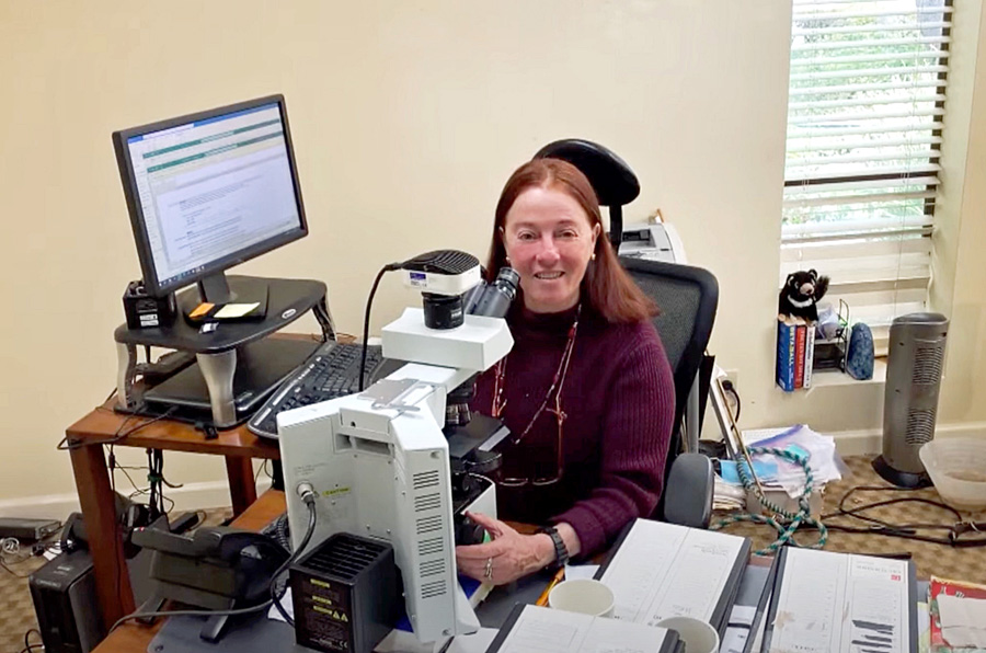 Carol Meschter working